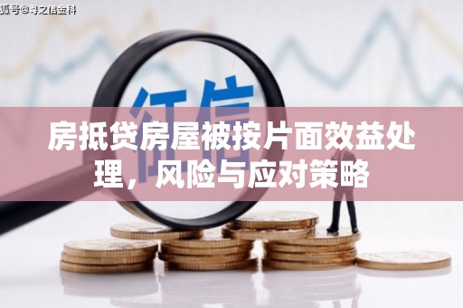 和美房抵贷房屋被按片面效益处理，风险与应对策略