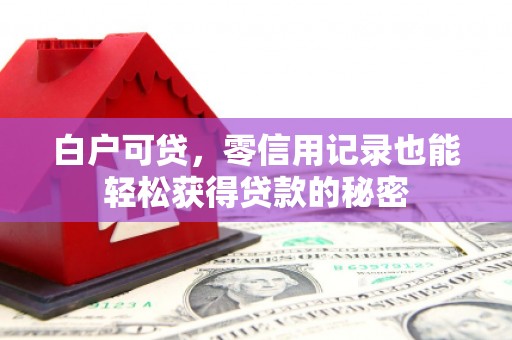 抚松白户可贷，零信用记录也能轻松获得贷款的秘密