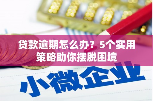 抚松贷款逾期怎么办？5个实用策略助你摆脱困境
