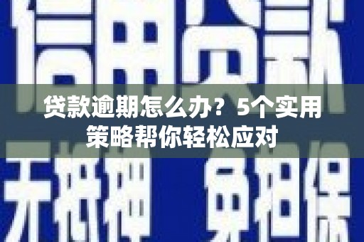 榆树贷款逾期怎么办？5个实用策略帮你轻松应对