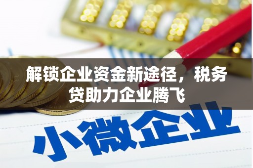 琼中解锁企业资金新途径，税务贷助力企业腾飞