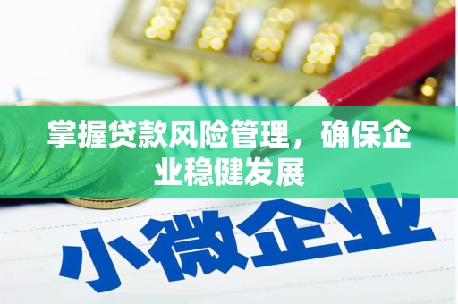 琼中掌握贷款风险管理，确保企业稳健发展