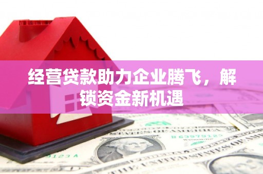 雷州经营贷款助力企业腾飞，解锁资金新机遇